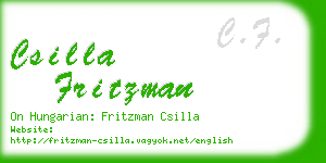 csilla fritzman business card